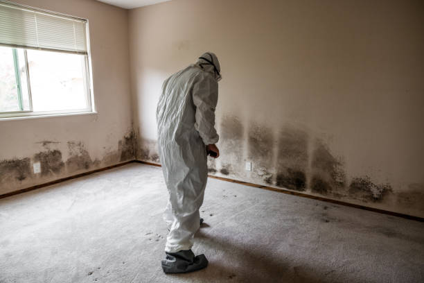 Best Biohazard Mold Removal  in Flowood, MS